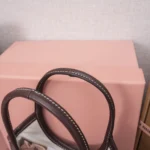 Miu Miu Ivy Leather Bag