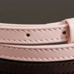 Miu Miu Arcadie Leather Bag