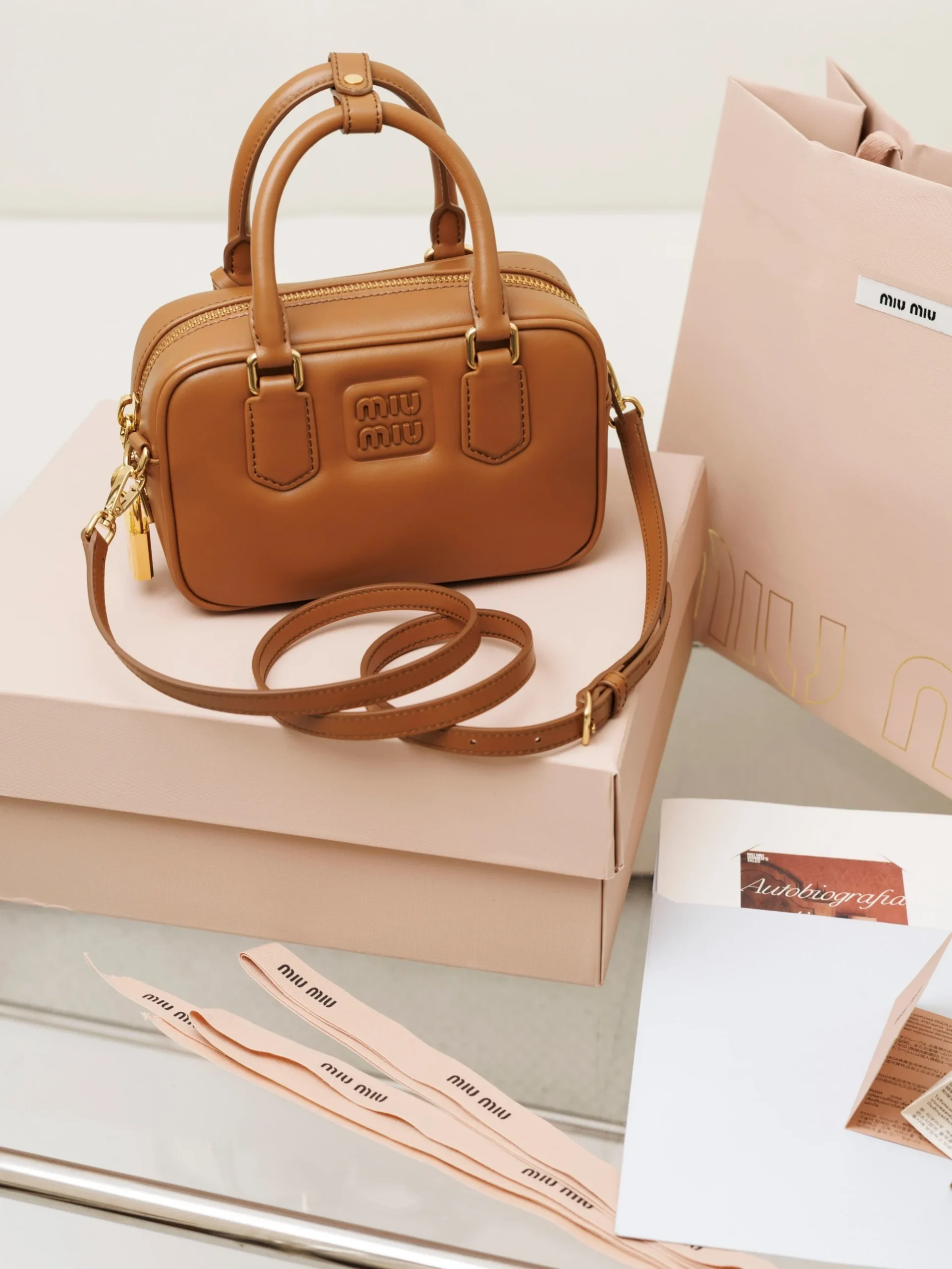 Miu Miu Arcadie Leather Bag Miu Miu Arcadie Leather Bag