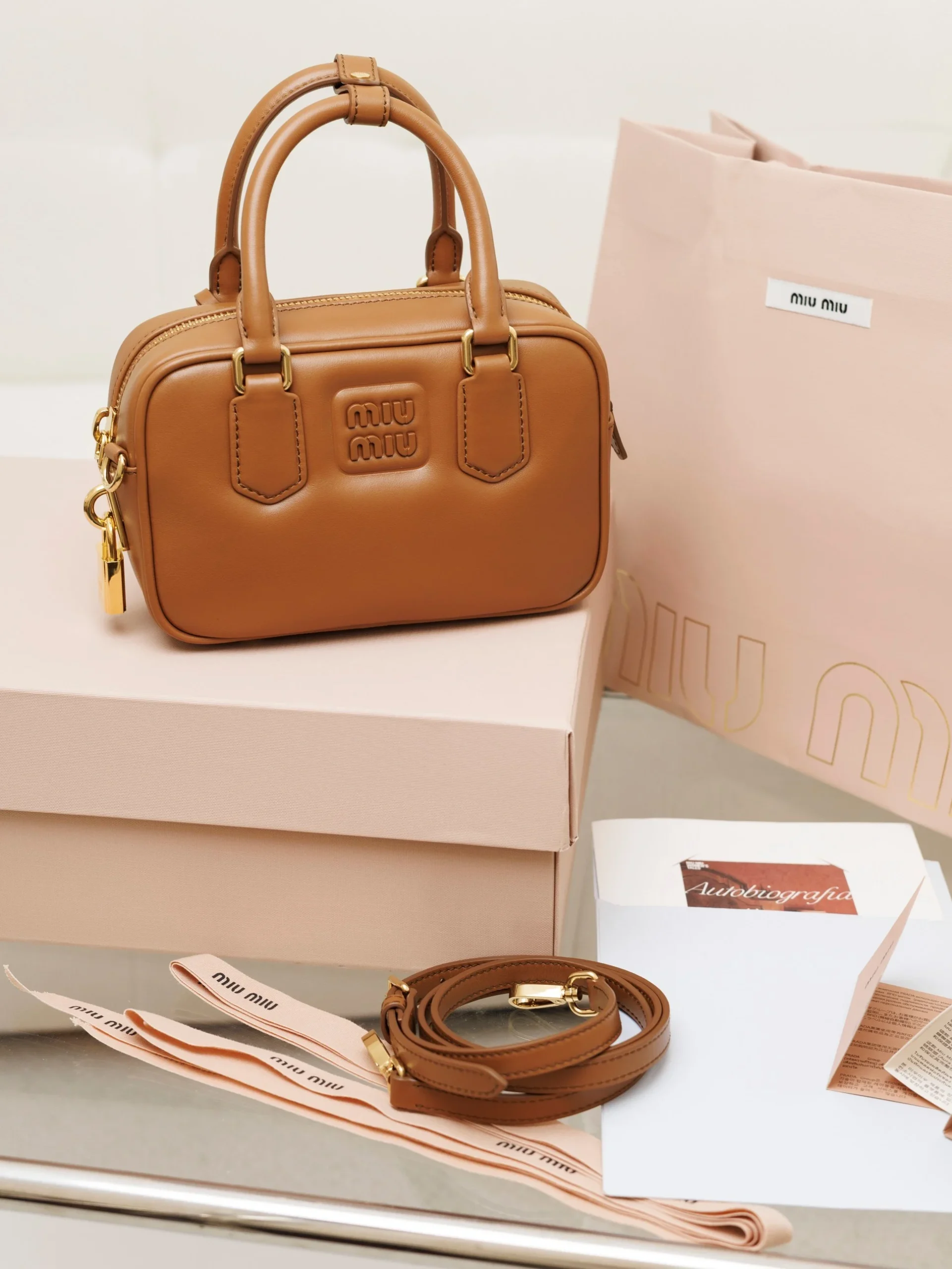 Miu Miu Arcadie Leather Bag Miu Miu Arcadie Leather Bag