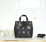 Medium Dior Toujours Vertical Tote Bag